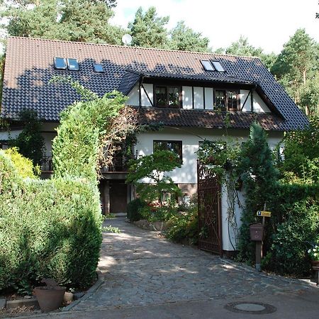 Pension Tannenspitze Wittenberg Exterior foto