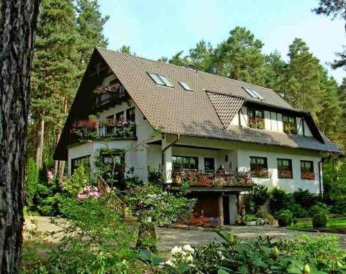 Pension Tannenspitze Wittenberg Exterior foto