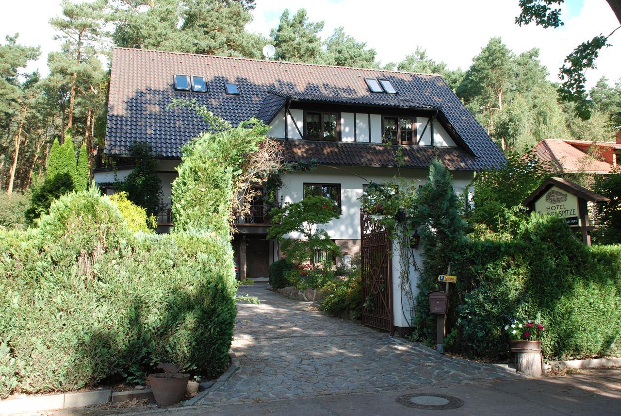 Pension Tannenspitze Wittenberg Exterior foto