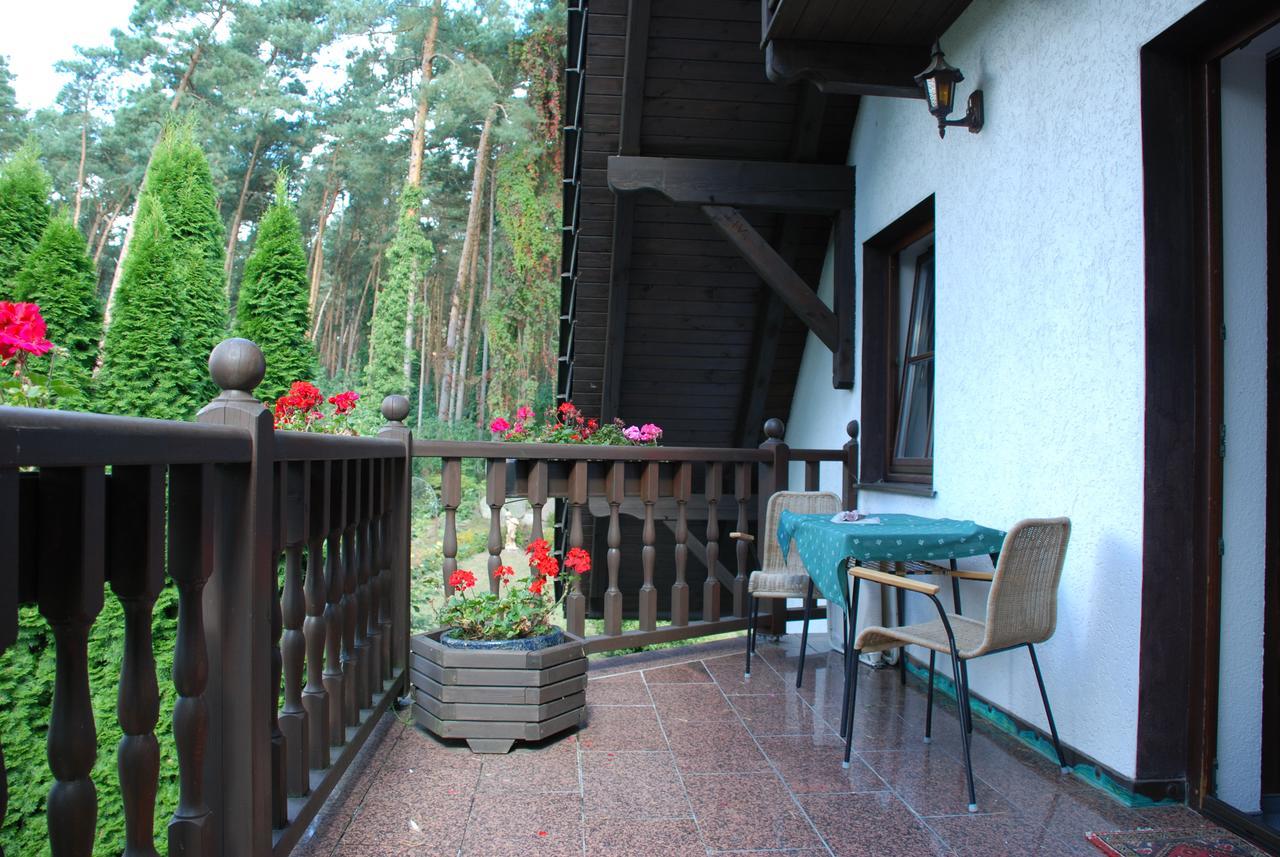 Pension Tannenspitze Wittenberg Exterior foto