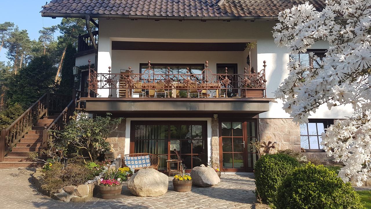 Pension Tannenspitze Wittenberg Exterior foto